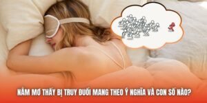 Nằm Mơ Thấy Bị Truy Đuổi Mang Theo Ý Nghĩa Và Con Số Nào?